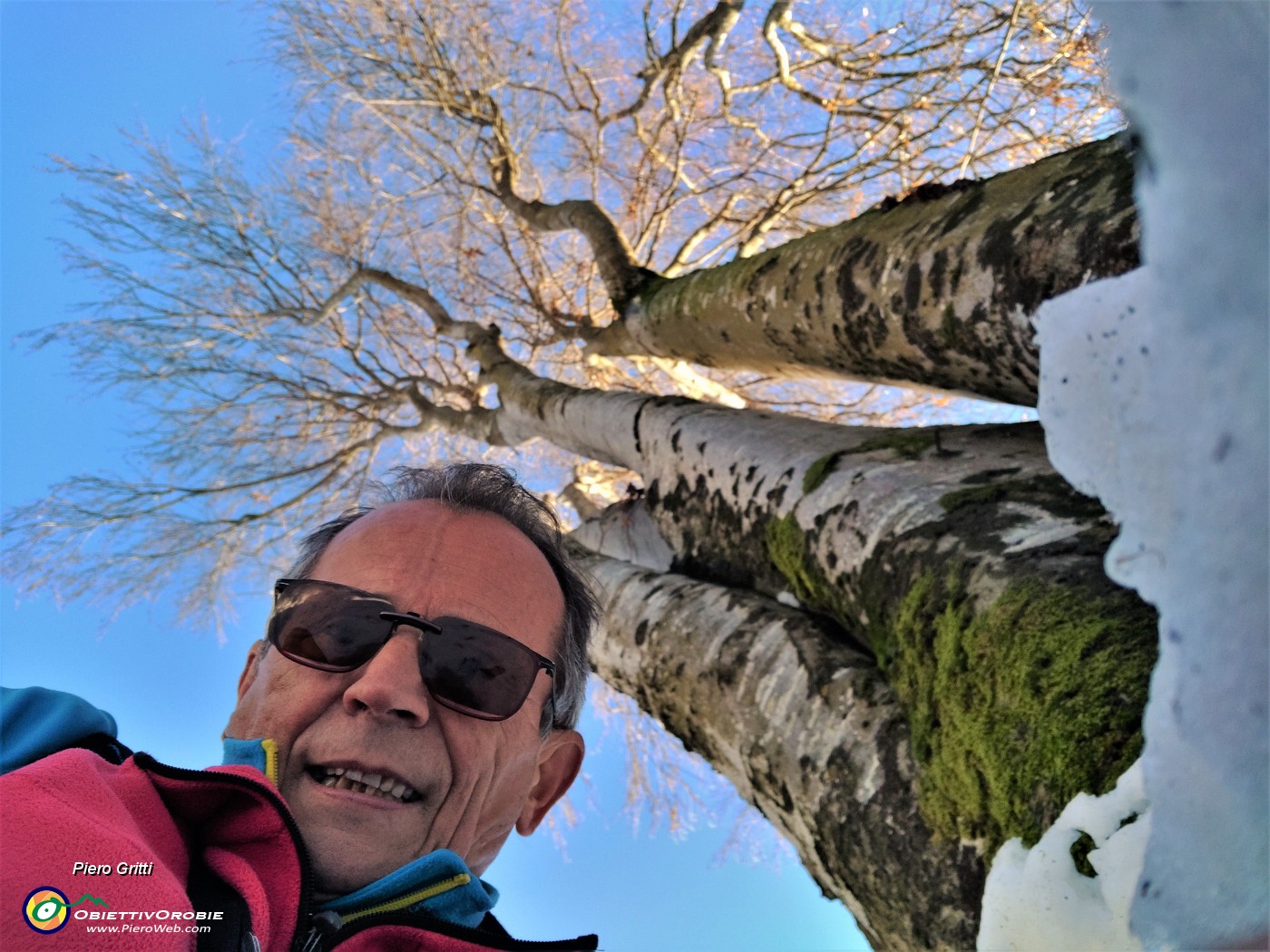 74 Alti faggi secolari al selfie .jpg